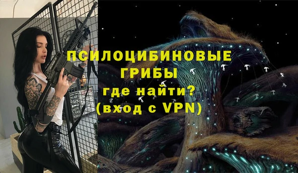 гашик Лиски