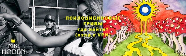 гашик Лиски