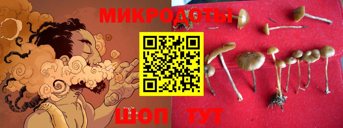 Галлюциногенные грибы Cubensis  Псилоцибиновые грибы Psilocybine cubensis  Вход с VPN  Арзамас 